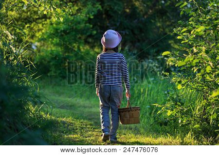 Young Girl Walking On A Path Through Green Woods Carrying A Birchbark Basket
