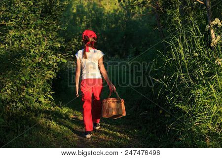 Young Girl Walking On A Path Through Green Woods Carrying A Birchbark Basket
