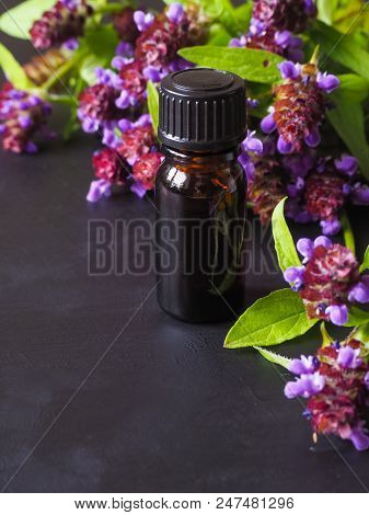 Medicinal Herb. Common Self Heal (prunella Vulgaris) Scented Oil.