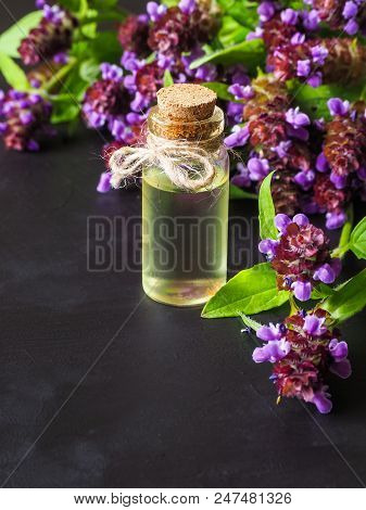Medicinal Herb. Common Self Heal (prunella Vulgaris) Scented Oil.