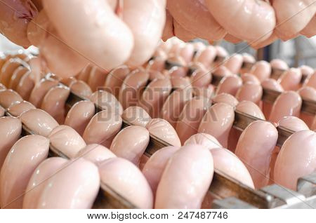Sausage. Sausage Production Line. Sausage On The Counter For The Smokehouse. Industrial Manufacture