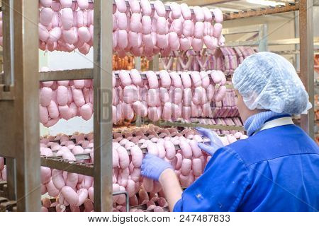 Sausage. Sausage Production Line. Process Of Sausage Manufacturing. Industrial Manufacturing Of Saus