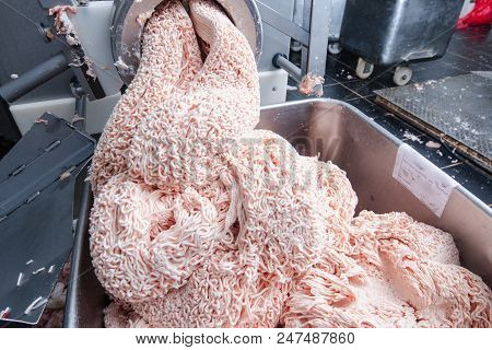 Meat Grinder. Sausage Production Line. Process Of Sausage Manufacturing. Industrial Manufacturing Of