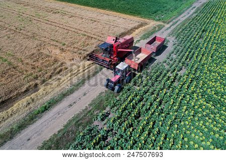 Combine Harvester And Tractor Working In Wheat Field
