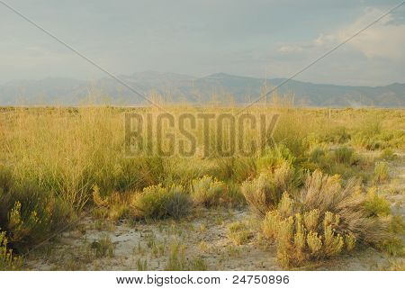 Překvapení Valley Pelyněk