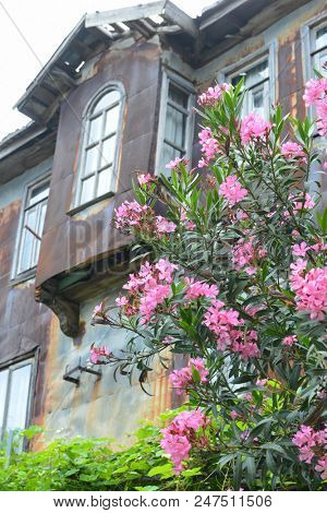 An old Ottoman style renovated house of Historical Amasra - Amasra town, Bartin - Turkey