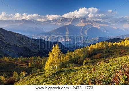 Autumn landscape. Top Ushba in clouds. Birch forest on the hillside. View from Mount Mkheer. Main Caucasian ridge. Zemo Svaneti, Georgia