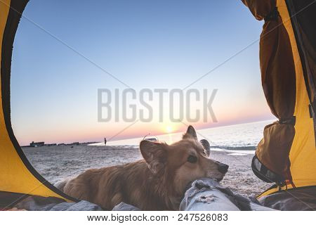 Happy Weekend By The Sea