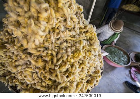 Cambodia Phnom Penh Silk Isalnd Production