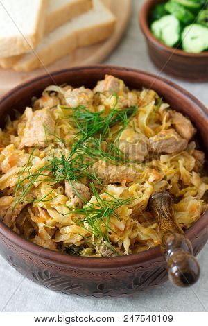 A Traditional Dish Of Some European Countries Is Bigos Made From Cabbage, Other Vegetables And Meat.
