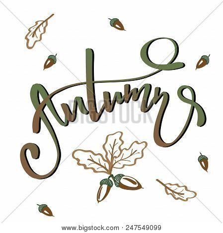 Autumn Word Hand Lettering. Handmade Vector Modern Calligraphy