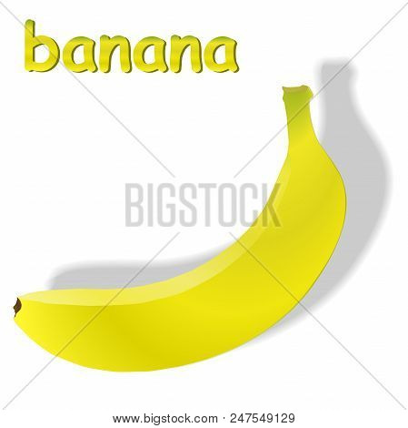 Banana Fruit Close Up. Bunch Of Bananas Isolated On White Background. Vector Illustration
