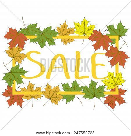 Autumn Typographic. Autumn Sale. Fall Leaf. Vector Illustration Eps 10