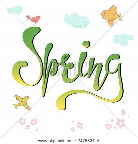 Spring  Hand Written Text. Brush Lettering At Withe Background With Flovers And Cute Birds. Vector C