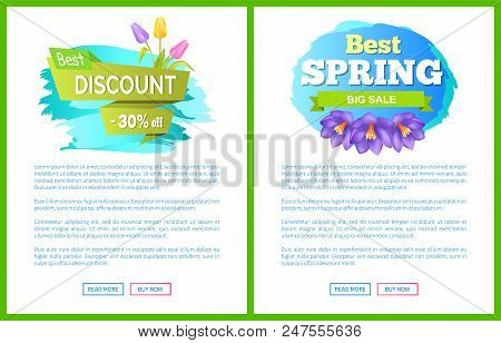 Best Spring Big Sale Advertisement Label Crocus Purple And Tulips Flowers Vector On Web Page With Pu