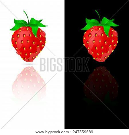 Beautiful Strawberry With Dew Drops On A Black And White Background. Vector Illustration. Eps10