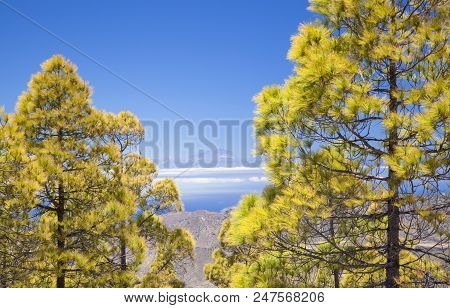 Gran Canaria, View From Las Cumbres, The Highest Areas Of The Island, Towards Teide On Tenerife