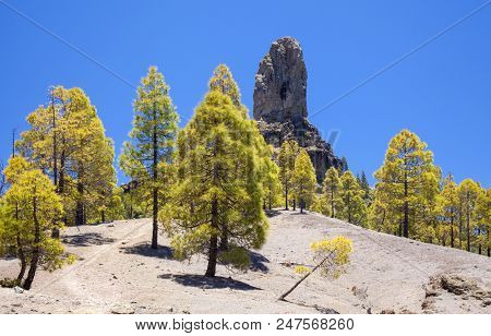 Gran Canaria, View From Las Cumbres, The Highest Areas Of The Island, Towards Teide On Tenerife