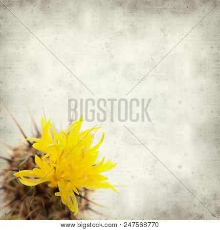 Textured Old Paper Background