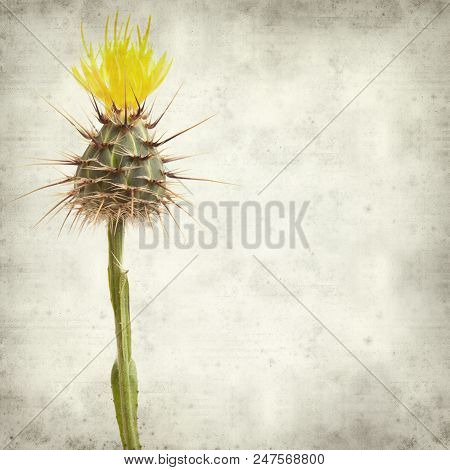 Textured Old Paper Background