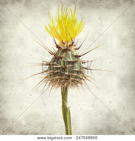 Textured Old Paper Background