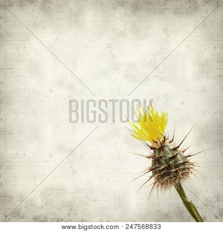Textured Old Paper Background