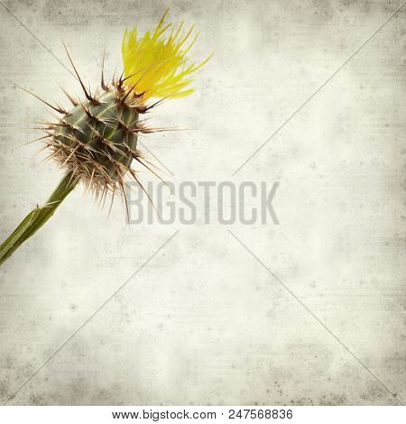 Textured Old Paper Background