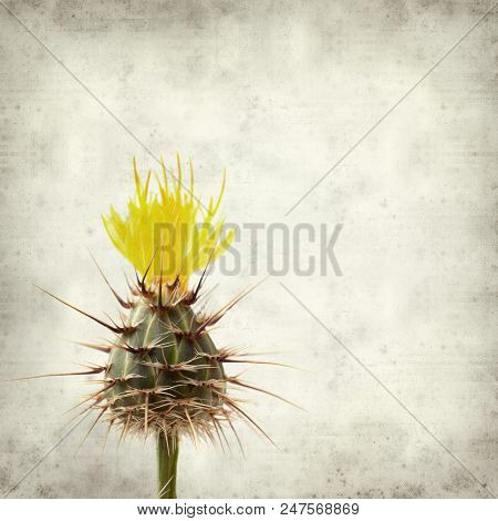 Textured Old Paper Background