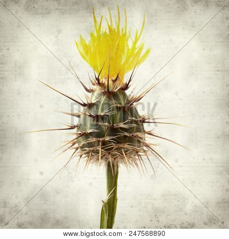 Textured Old Paper Background