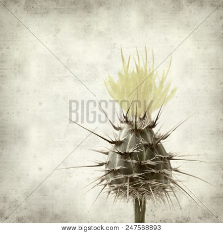 Textured Old Paper Background
