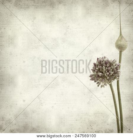 Textured Old Paper Background