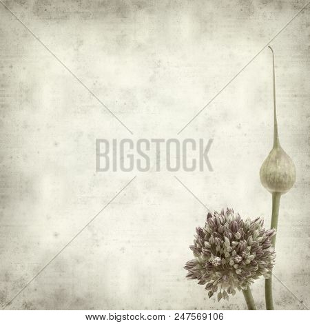 Textured Old Paper Background