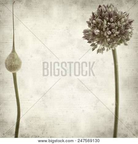 Textured Old Paper Background