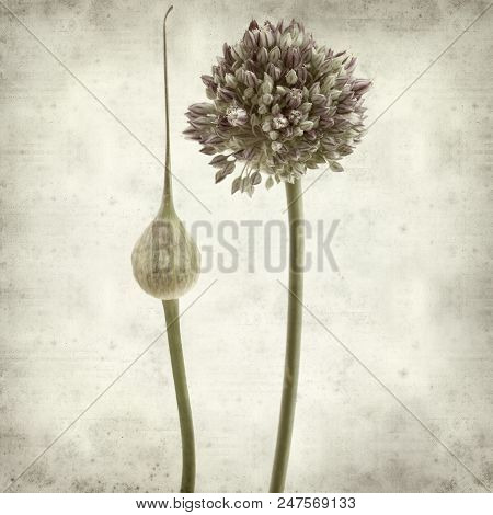 Textured Old Paper Background
