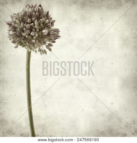Textured Old Paper Background