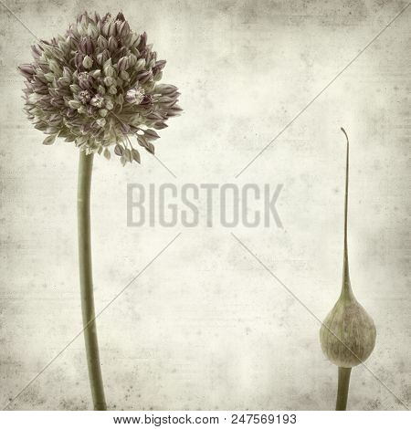 Textured Old Paper Background