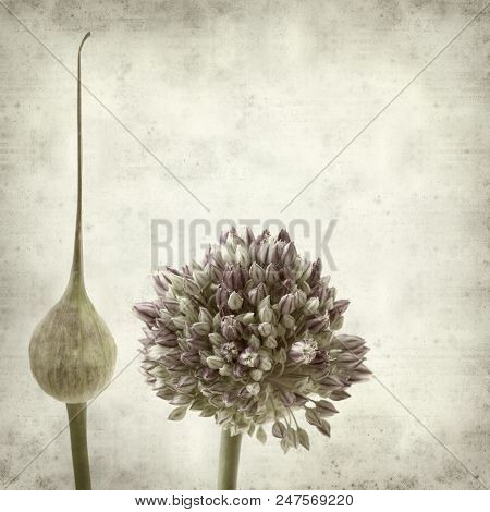 Textured Old Paper Background