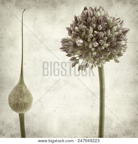 Textured Old Paper Background