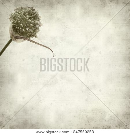 Textured Old Paper Background