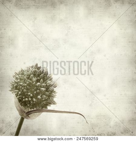 Textured Old Paper Background