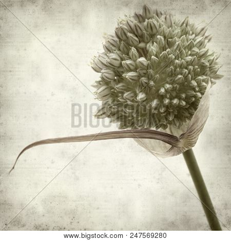 Textured Old Paper Background