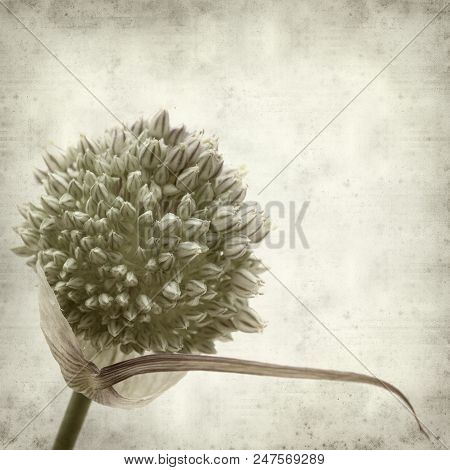 Textured Old Paper Background