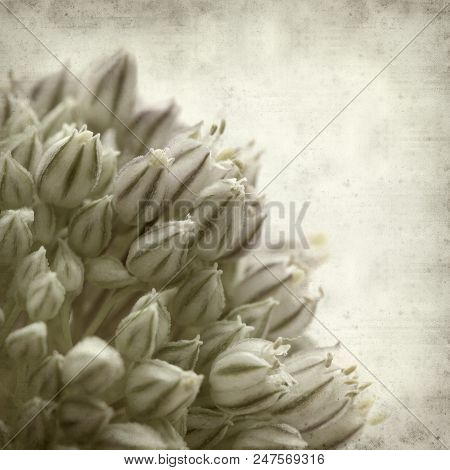Textured Old Paper Background