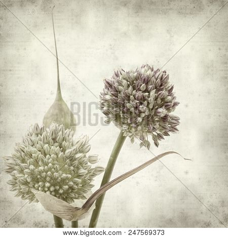 Textured Old Paper Background