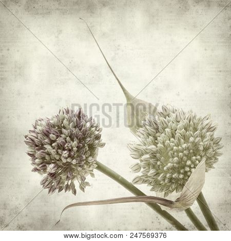 Textured Old Paper Background