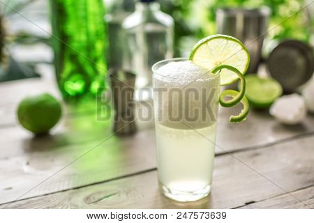 Egg Gin Fizz Cocktail