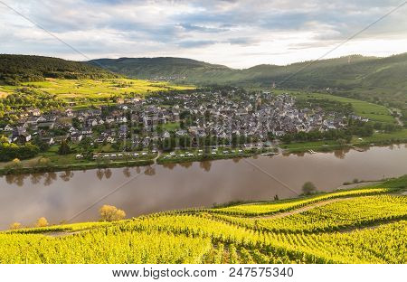 Puenderich On The Mosel Germany Picture Panorma