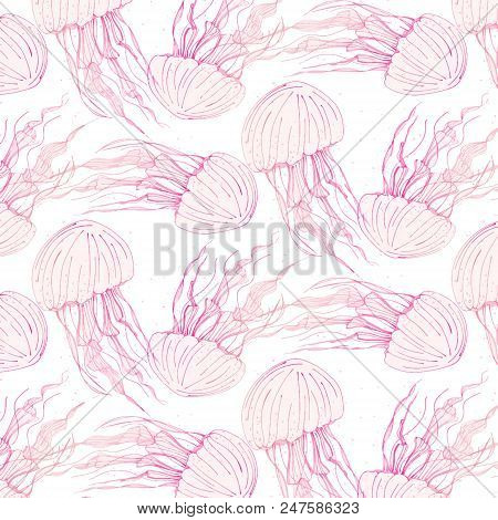 Beauty Medusa Cover. Dangerous Jellyfish Marine Animals. Tropical Underwater Ocean Animal Pattern. W