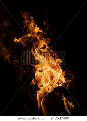 Fire Flames On A Black Background