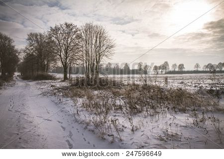 Winter Landscape In The Podlasie Region Of Poland